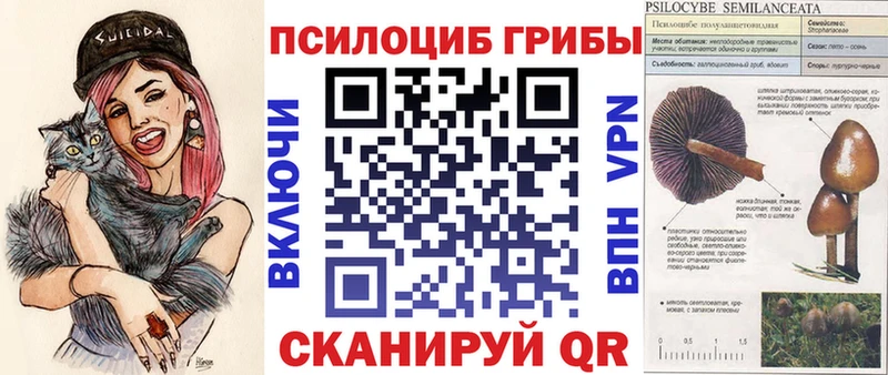 МЕГА ссылка  darknet наркотические препараты  Псилоцибиновые грибы прущие грибы  где купить наркоту  Заинск 